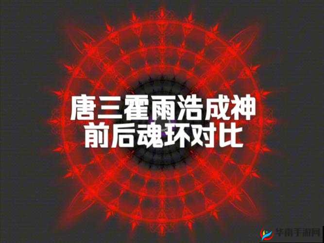 斗罗大陆废掉的星级魂环，变废为宝的奇妙之旅