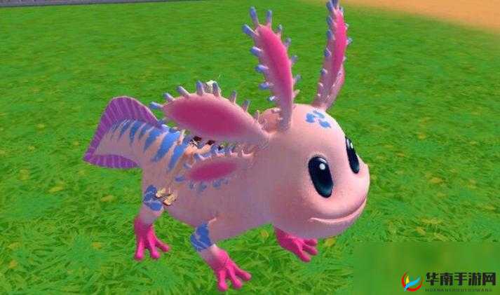 创造与魔法小顽皮蝾螈速度攻略，底层逻辑与操作映射深度解析