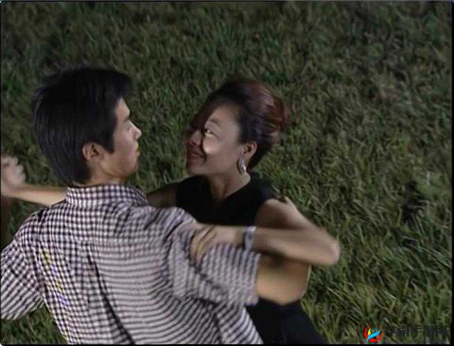 大团圆结 2 第二部亲情：免费观看，团圆结局