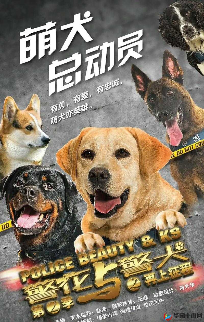 警犬张金鱼为何如此引人关注？它的视频背后有哪些精彩故事？一起来看