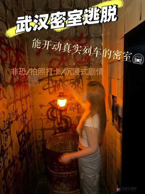 密室逃脱救奶奶，一场智慧与勇气的冒险之旅