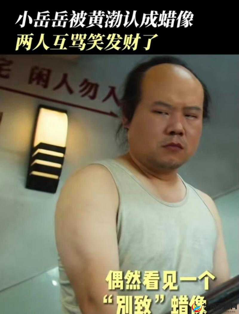 如何评价电影丰满的岳 8的剧情和演员表现？