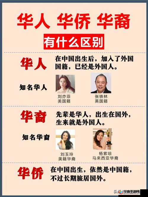 8x8x华人究竟是什么?最新动态与热点解读,快来一探究竟