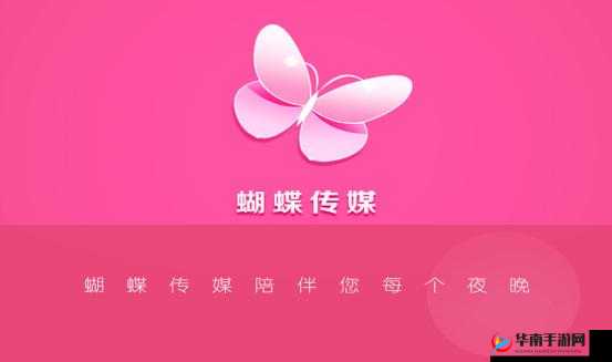 蝴蝶传媒高清到底是什么？为何能引发广泛关注？探索其独特魅力