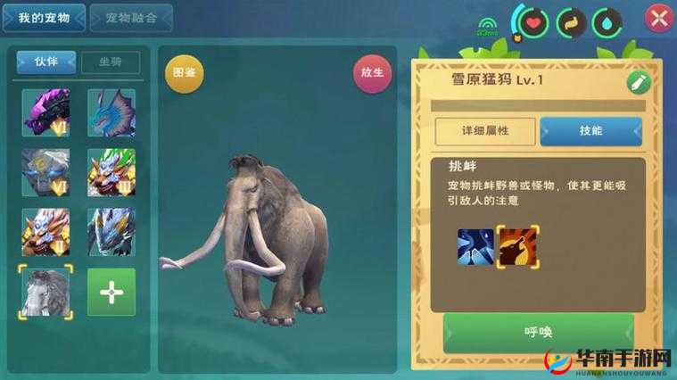 创造与魔法大象吃什么？深度解析与真相揭秘