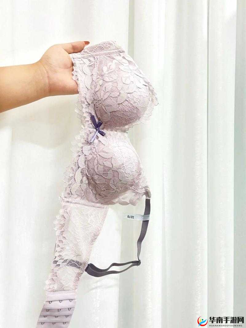 女式胸罩裁剪教程图解：从零开始学习如何制作合身舒适的内衣，详细步骤与技巧分享