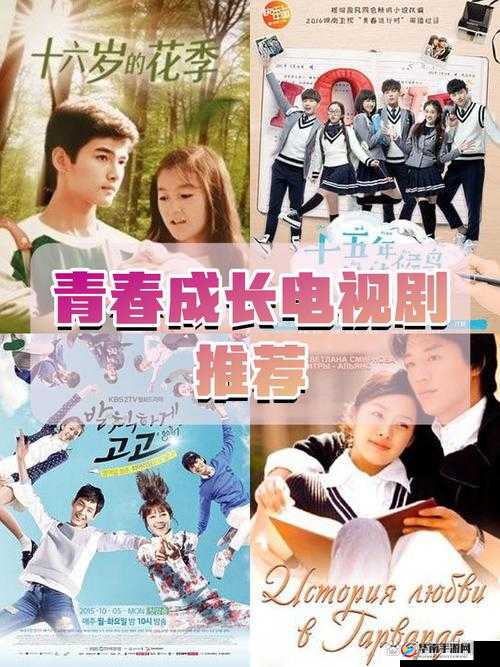 十七岁三妹1免费观看全集完整版:青春成长故事,完整剧情在线观看指南