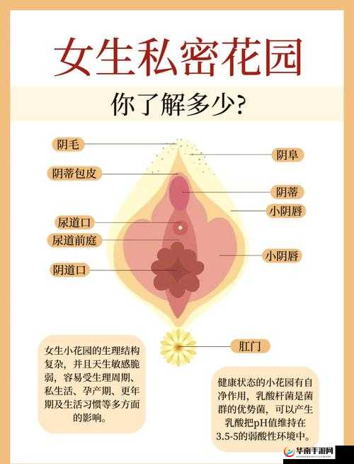 探索神秘之美：如何轻轻扒开她那粉嫩的小缝，揭示隐藏的温柔与细腻
