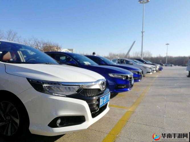 为什么小马拉大车会成为网络热梗？这个现象反映了怎样的社会心态？