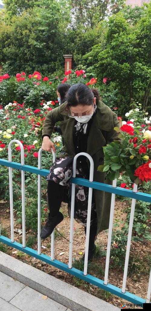 女子公园摘花被拍下视频，引发网友热议