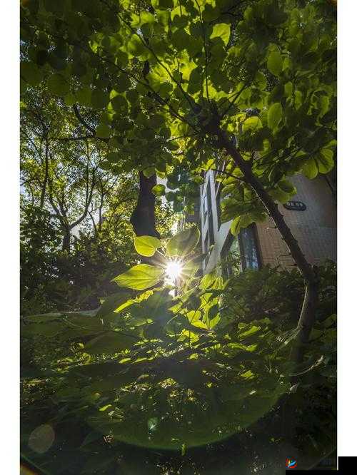 5G 到底会如何影响我们的生活?5G 天天绿色又意味着什么?快来一探究竟