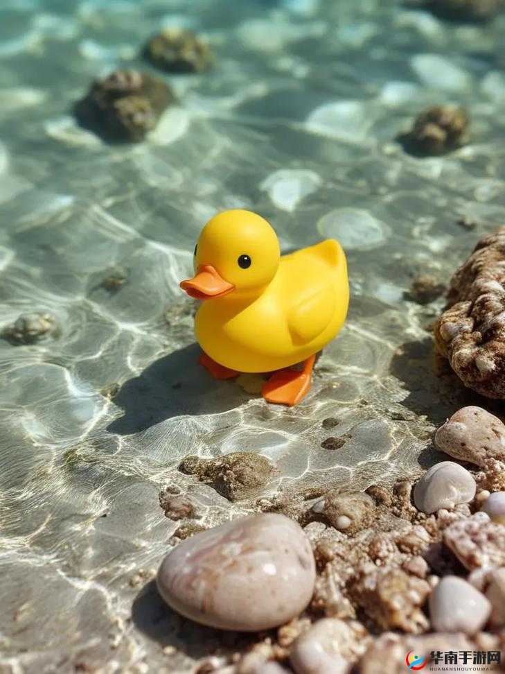 为什么国产一级小黄鸭这么受欢迎?