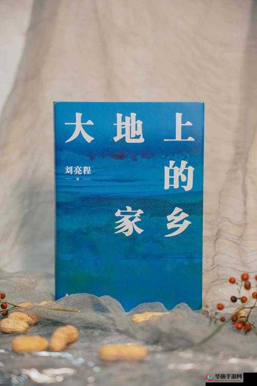 第 9 页的大地中文内容是什么呢？