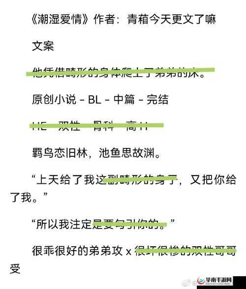 全息游戏美人 Xb开发日常 np 大揭秘：那些不为人知的精彩故事都有啥？