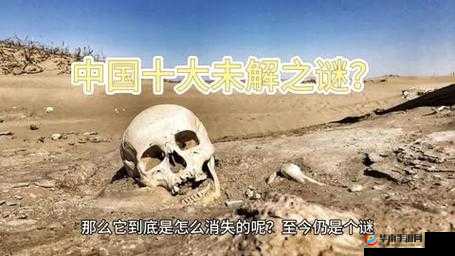 万篇长征黑料不打烊免费观看:揭秘历史背后的真相与未解之谜