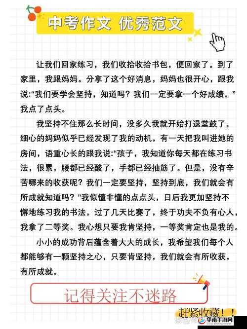 陆婷婷的故事:从平凡到非凡的成长历程与感人瞬间全记录