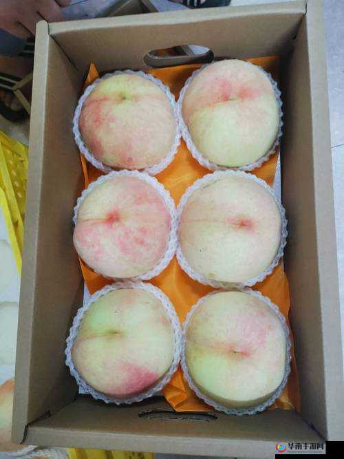 水蜜桃成人 AV 在线观看资源：满足你私密需求的绝佳选择