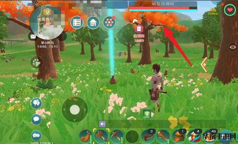 创造与魔法爆炸果在哪里获得