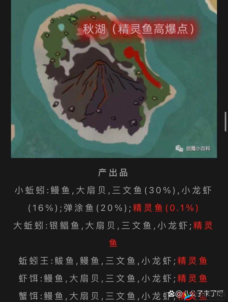 创造与魔法双髻鲨在哪钓，全面攻略与深度解析