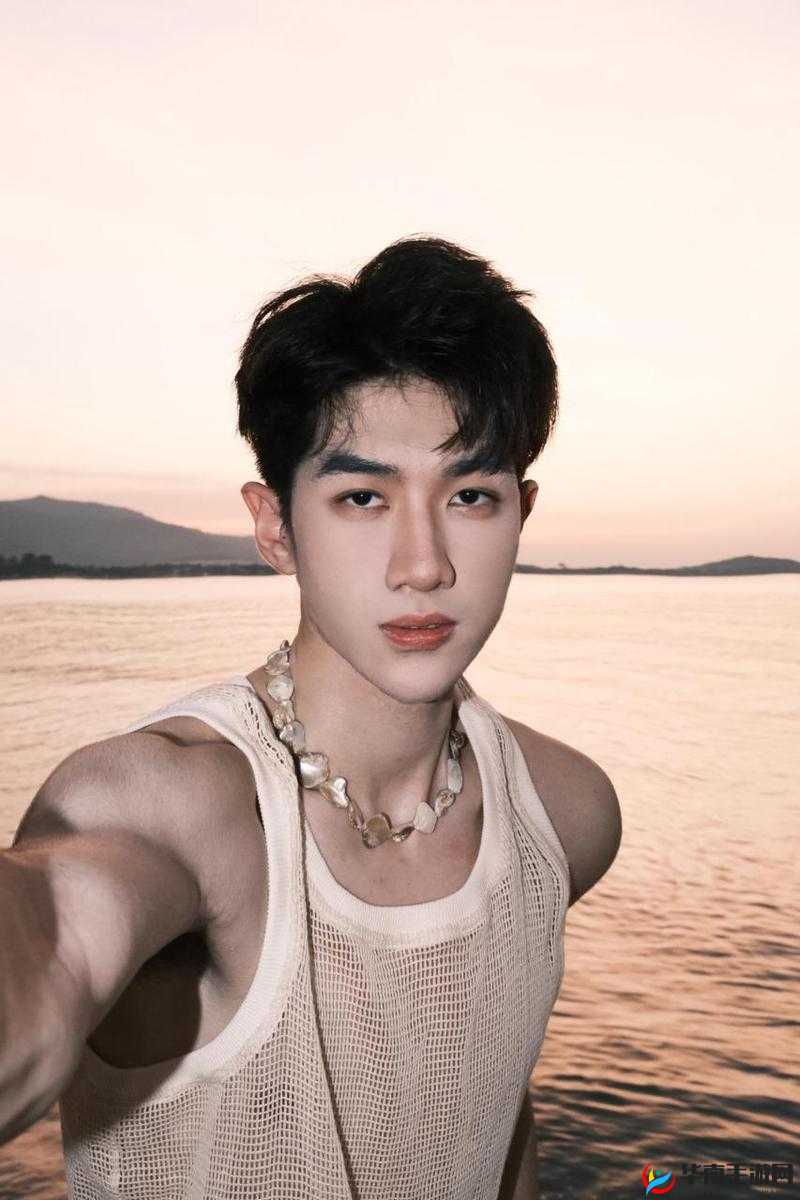 揭秘大学生GayChinese超帅背后的故事:颜值与才华并存的青春风采