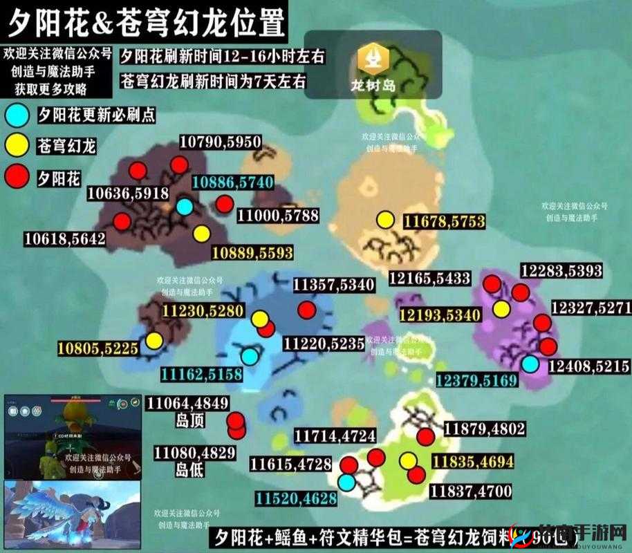 创造与魔法飞龙在哪？飞龙位置分享