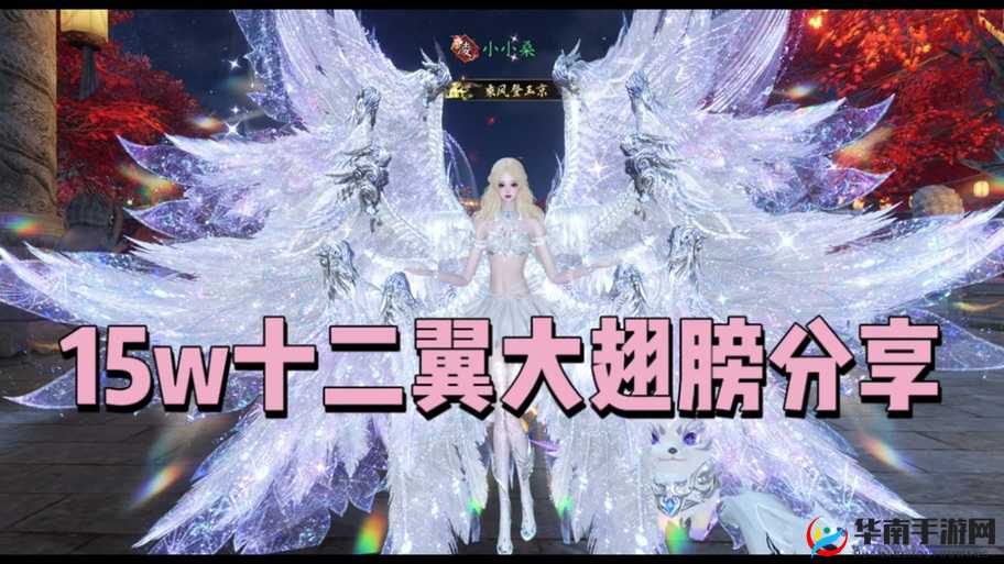 斗罗大陆天使羽翼有什么用，解锁全新战斗与探索体验