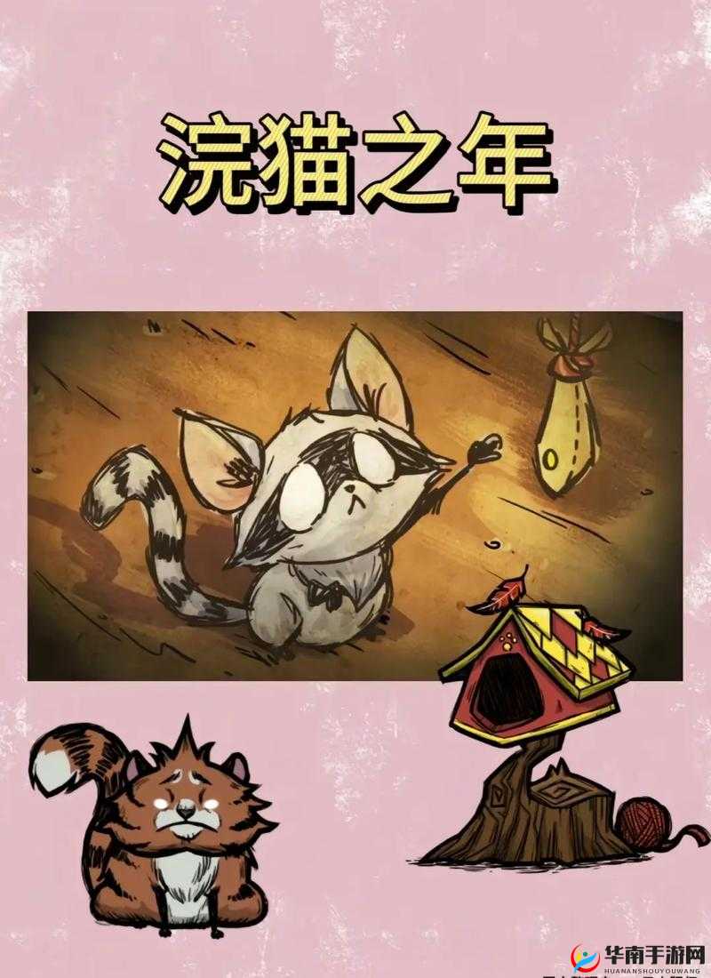 饥荒宠物小浣猫，资源管理、高效利用与避免浪费的全方位解析