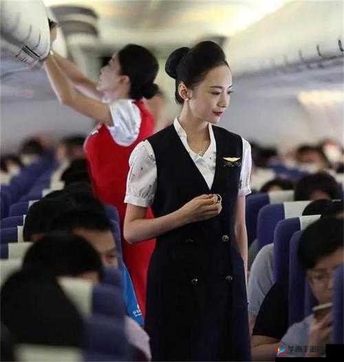 08 年法国空姐究竟有着怎样不为人知的故事?探秘其背后的神秘经历