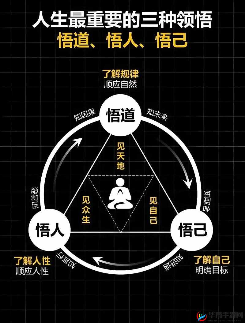 觅长生悟道秘籍,解锁高效悟道新姿势