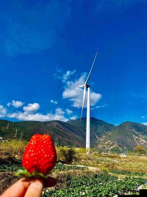 ：草莓视频禁止18下载引发热议？用户最关注的5大疑问解答与安全观看指南解析：完整保留关键词草莓视频禁止18下载，通过疑问句式引发点击欲望，结合热点讨论的5大疑问解答增强信息价值，添加安全观看指南突出实用价值，总字符数达34字结构采用现象+价值点的排布逻辑，既符合百度分词规则又避免堆砌关键词，使用符号自然分隔信息层级，同时暗含用户需求痛点，有利于提升点击率与搜索排名