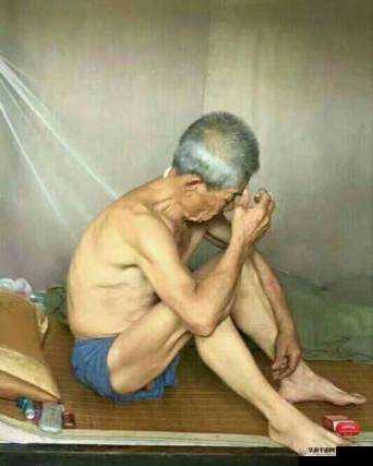 老头老人大爷同性XxXx大全：深入探讨老年同志群体的生活故事与情感世界