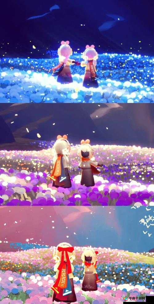 光遇粉红海怎么找到，全面攻略指南