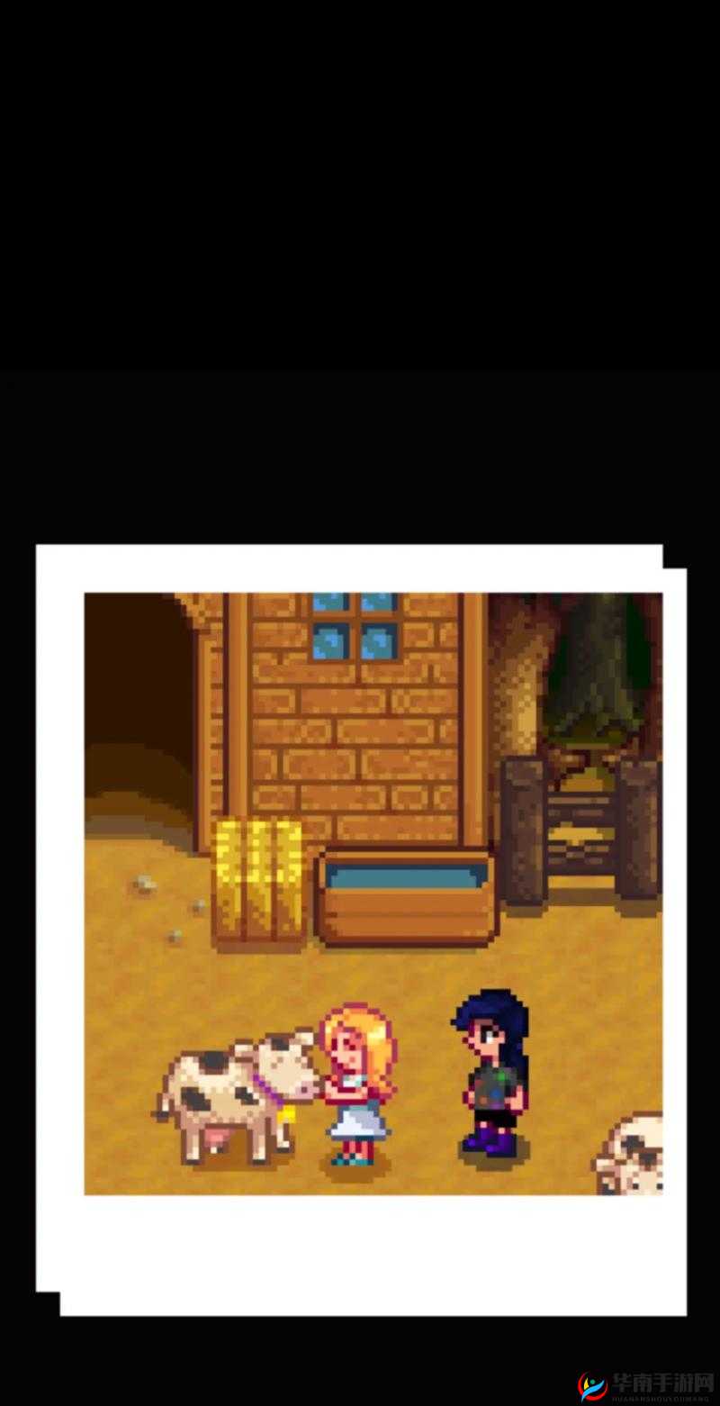 星露谷物语，揭秘海莉暗室的神秘之旅