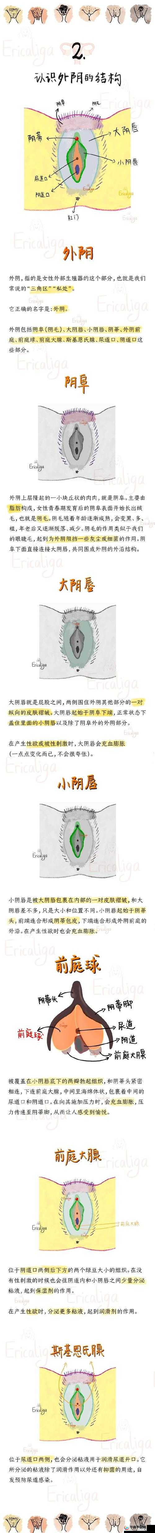 女性体内谢产物是如何生成的？