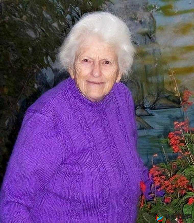 欧美老人一区二区三区高清精品片,满足你对成熟魅力的无尽幻想