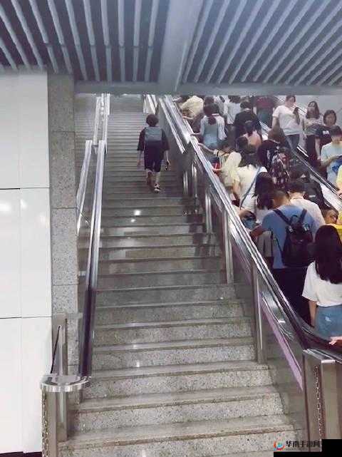 坐公交车被 C:在拥挤的城市中,一段意外的旅程