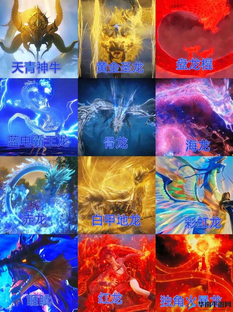 斗罗大陆智力系武魂大揭秘，哪些武魂能让你智胜一筹？