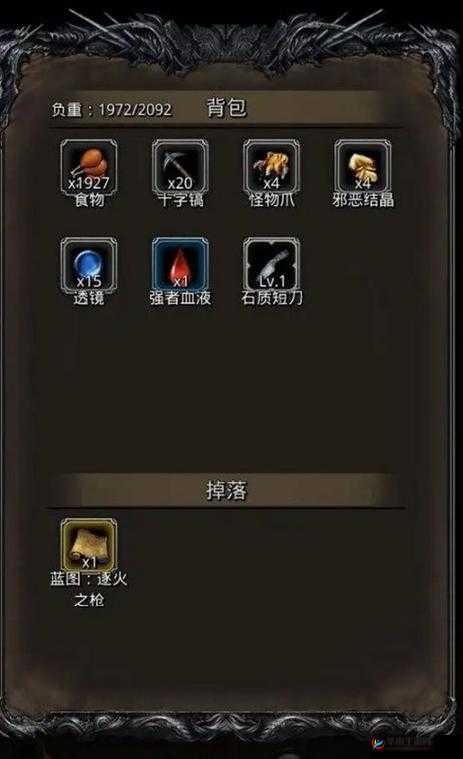 地下城堡2传奇纹章深度解析，探寻珍稀纹章的奥秘