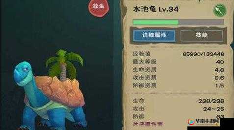 创造与魔法水池龟怎么获得及未来玩法革命预测