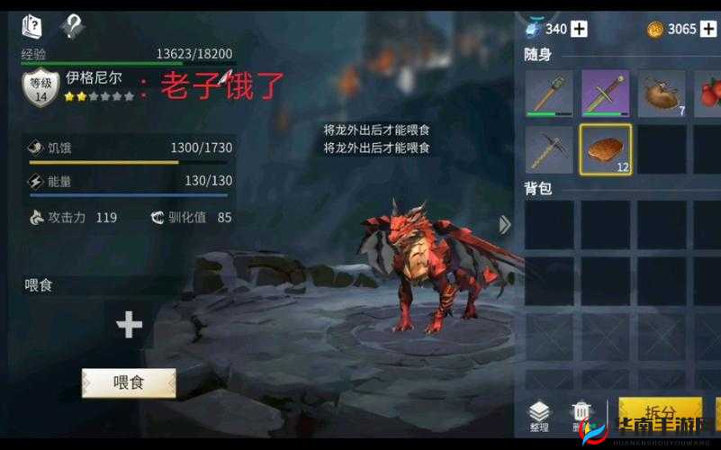 冰原守卫者龙的装备如何获取,全面攻略与深度解析