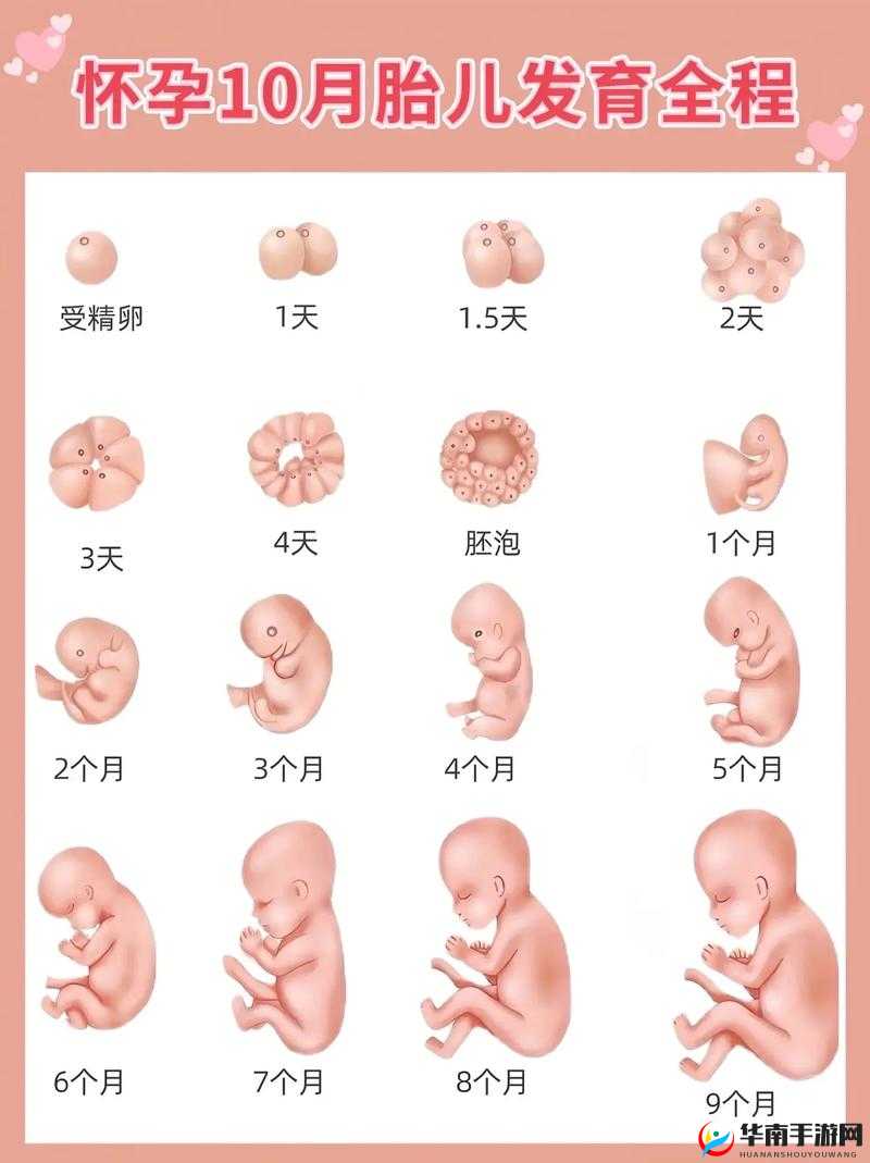 孩子被妈妈放回肚子里，这是真的吗？