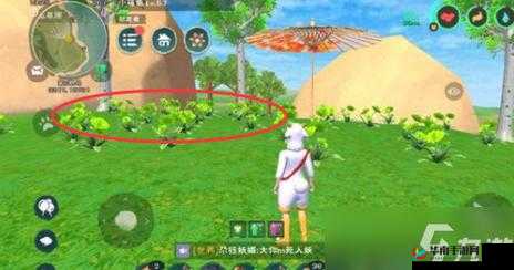 创造与魔法新版本绿色的花在哪?探索、创新与深度体验全解析