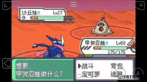 5 星辰国语版究竟有何独特特性服务？快来一探究竟吧