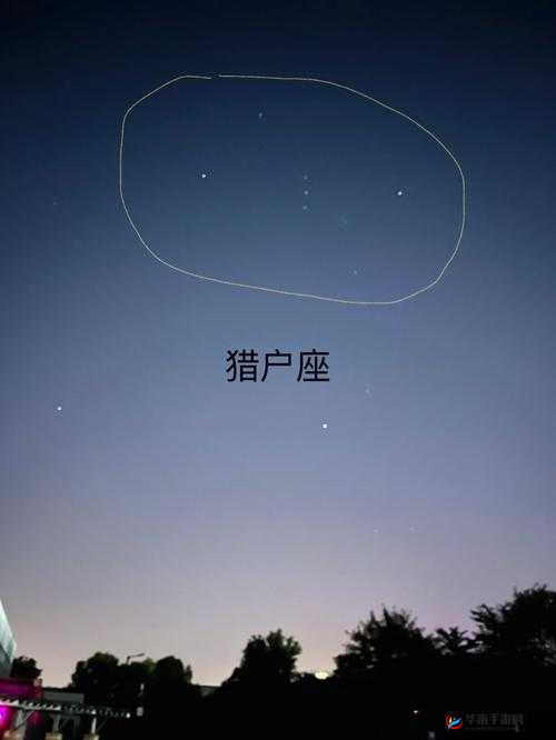 星空无限 kx8117 到底是什么？它有怎样独特的魅力和特点？