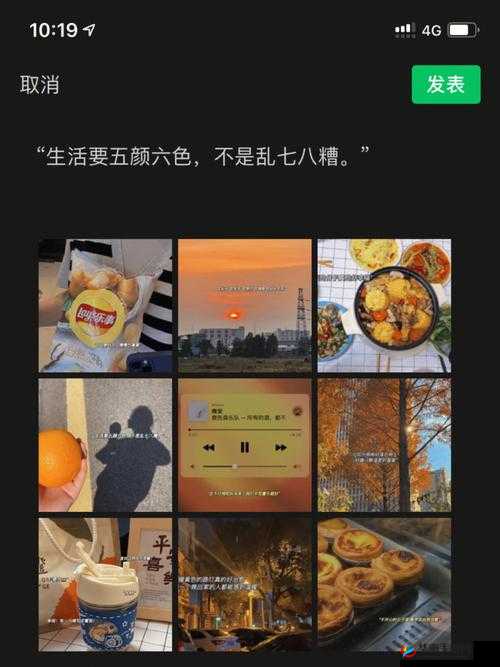 色五停停是什么意思？为何色五停停备受关注？快来一探究竟