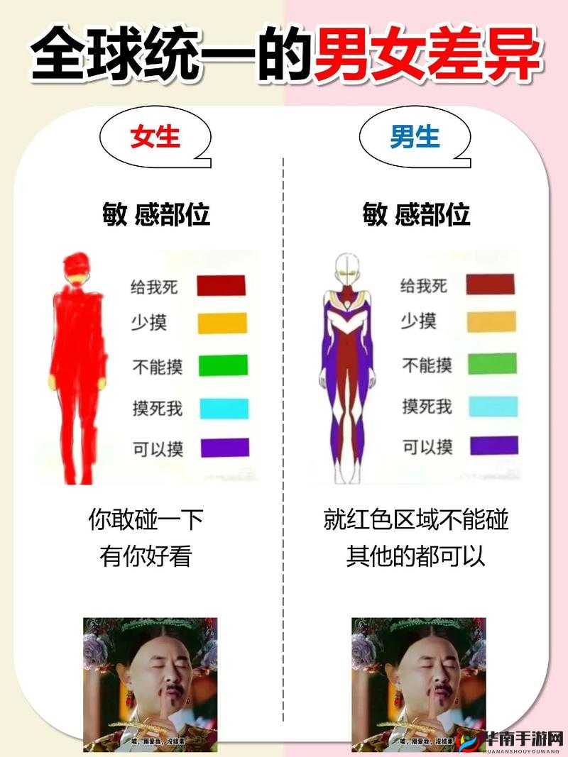 男生和女生差差差下载：探索性别差异的趣味与科学，获取最新资源与深度解析