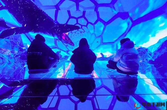 探索人善交videoS欧美3D视频网站：高清画质与沉浸式体验的全新视觉盛宴