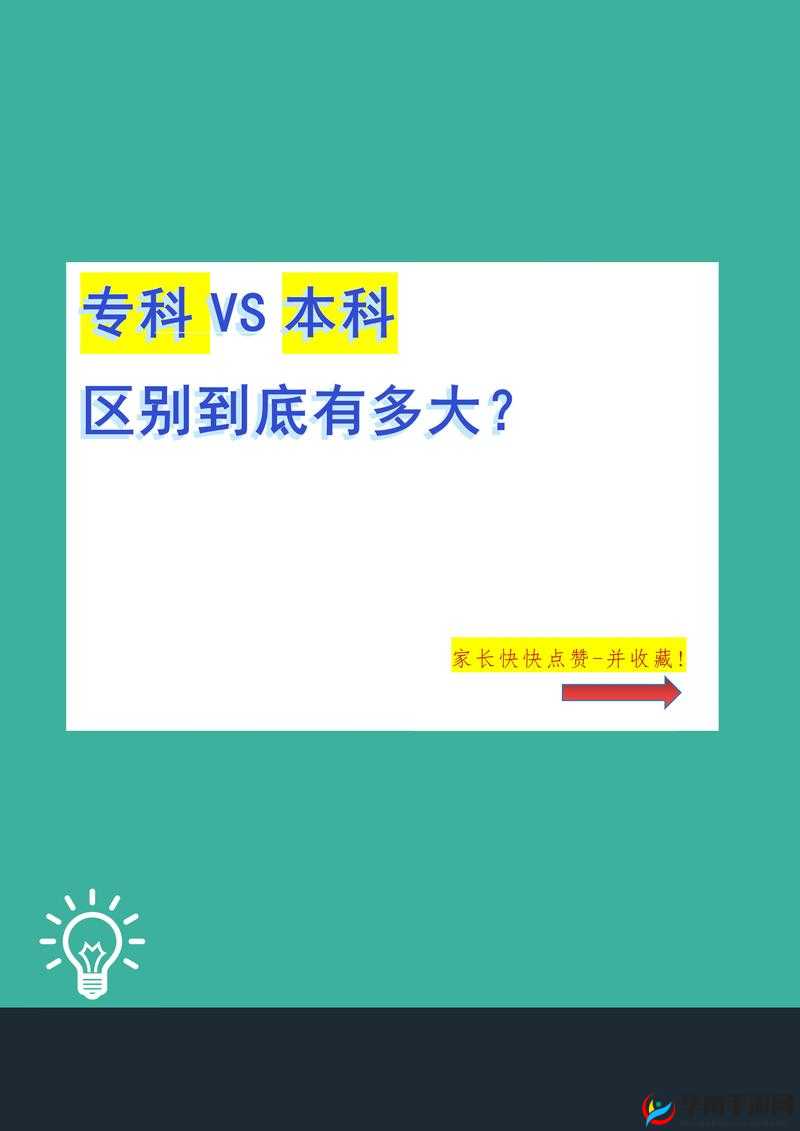 究竟是一级大还是二级大？深入探讨两者差异与重要性的全面解析