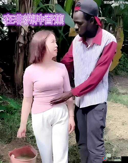 探索99久久久无码国产精品性黑人背后的文化现象与艺术表达深度解析