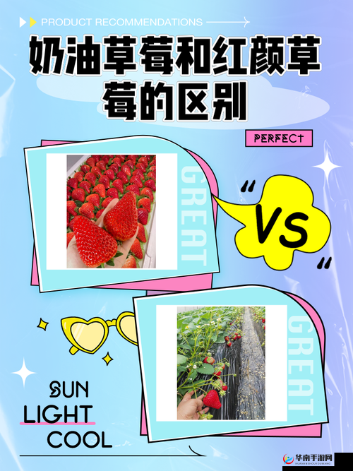 旧版本草莓视频全面解析：功能对比与用户体验深度评测，了解旧版本草莓视频的独特魅力